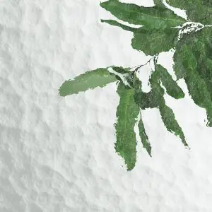 Glass ornamental glacies