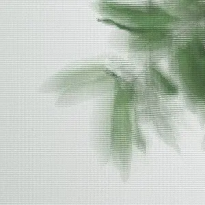 Glass ornamental mons