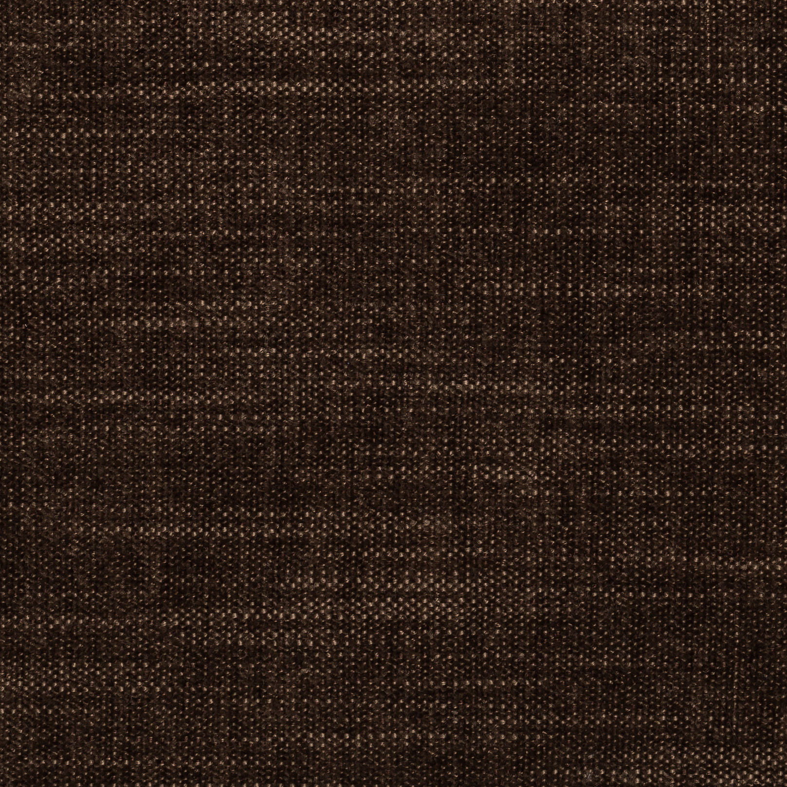 Logan Boston Brown 05