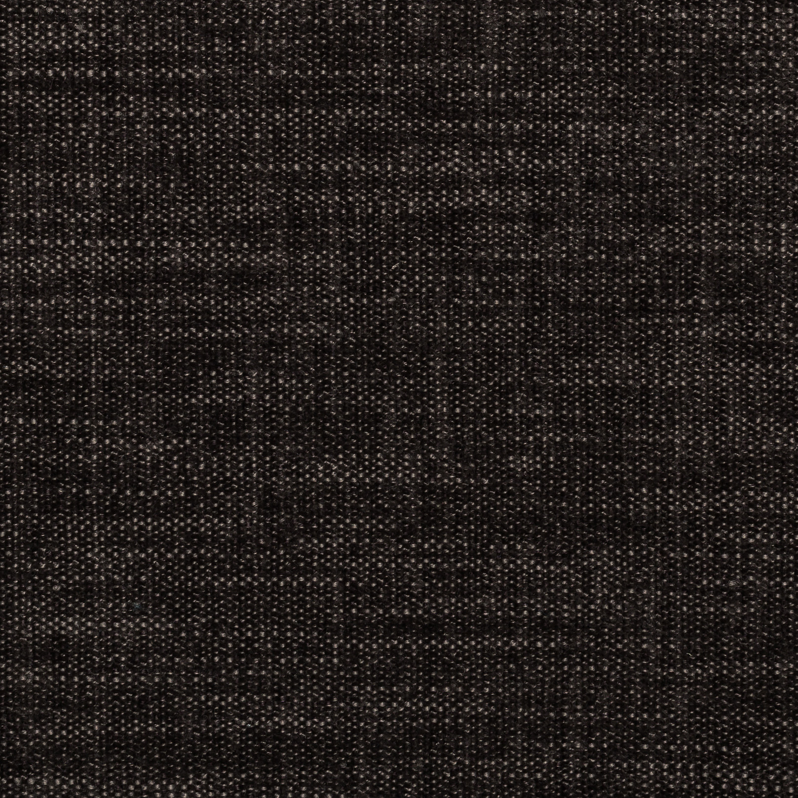 Logan Boston Mouse 06